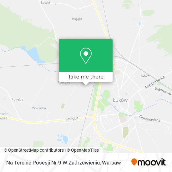 Na Terenie Posesji Nr 9 W Zadrzewieniu map