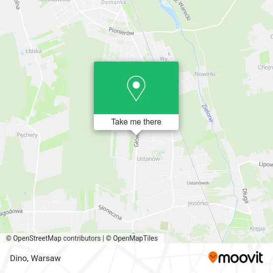 Dino map