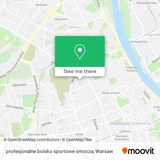 profesjonalne boisko sportowe smocza map