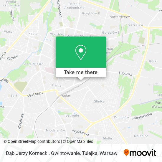 Dąb Jerzy Kornecki. Gwintowanie, Tulejka map