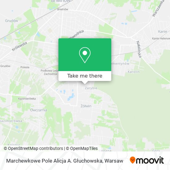 Marchewkowe Pole Alicja A. Głuchowska map