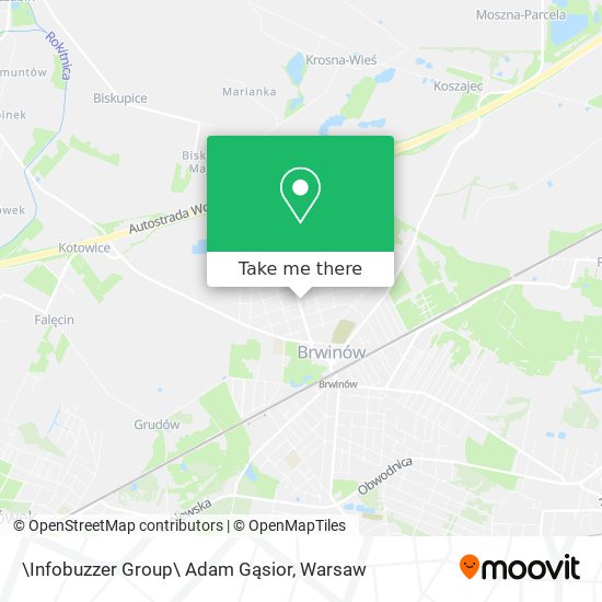 \Infobuzzer Group\ Adam Gąsior map