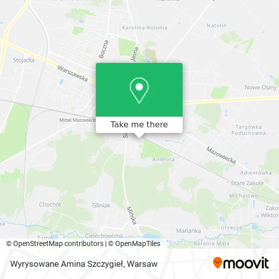 Карта Wyrysowane Amina Szczygieł
