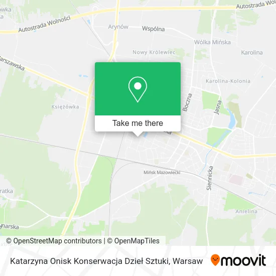 Карта Katarzyna Onisk Konserwacja Dzieł Sztuki