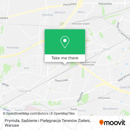 Prymula. Sadzenie i Pielęgnacja Terenów Zieleni map