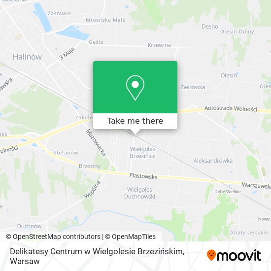 Delikatesy Centrum w Wielgolesie Brzezińskim map