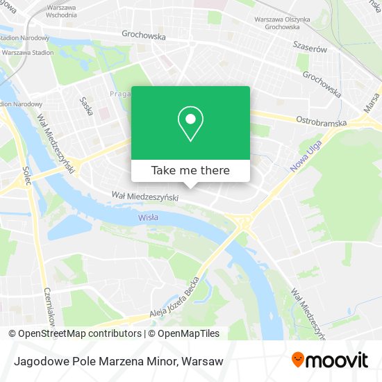 Jagodowe Pole Marzena Minor map