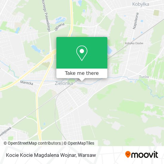 Kocie Kocie Magdalena Wojnar map