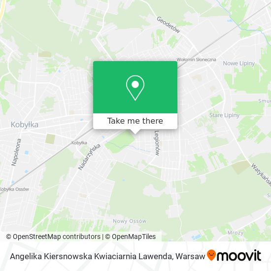 Angelika Kiersnowska Kwiaciarnia Lawenda map