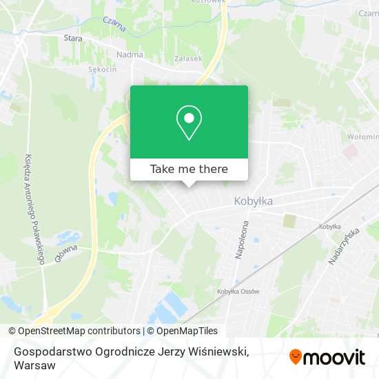 Gospodarstwo Ogrodnicze Jerzy Wiśniewski map