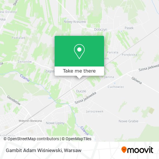 Gambit Adam Wiśniewski map