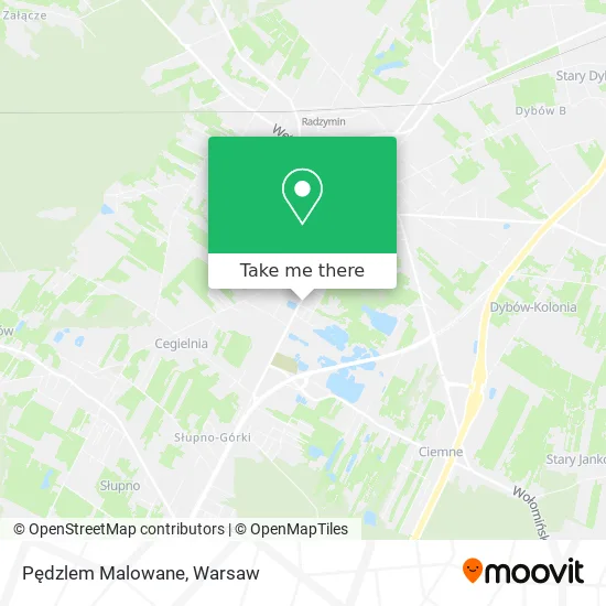 Pędzlem Malowane map