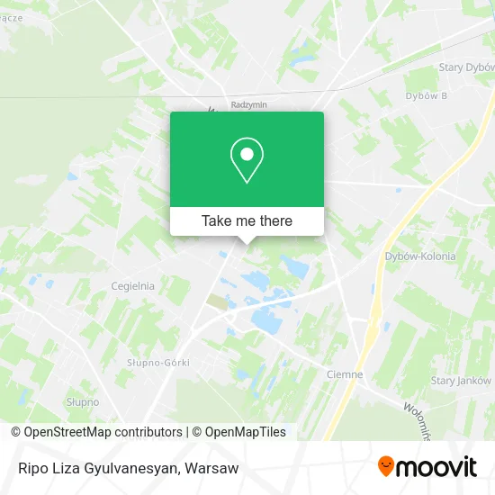 Карта Ripo Liza Gyulvanesyan