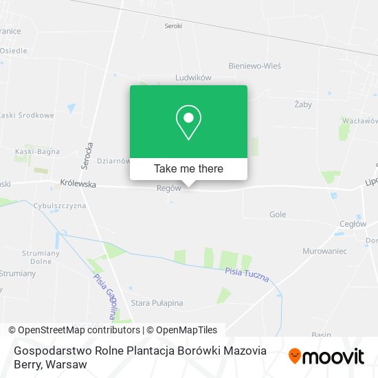 Gospodarstwo Rolne Plantacja Borówki Mazovia Berry map