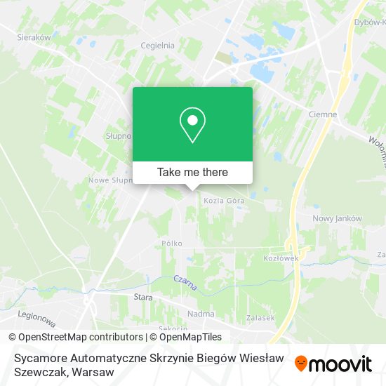 Sycamore Automatyczne Skrzynie Biegów Wiesław Szewczak map