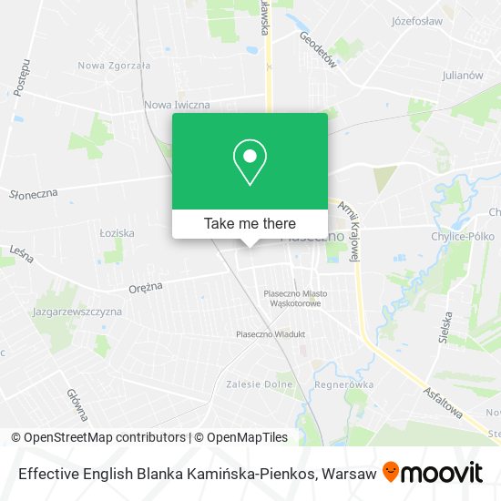 Карта Effective English Blanka Kamińska-Pienkos