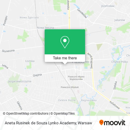 Aneta Rusinek de Souza Lynko Academy map