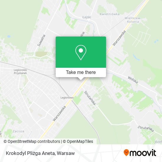 Krokodyl Pliżga Aneta map