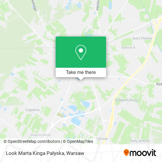Карта Look Marta Kinga Pałyska