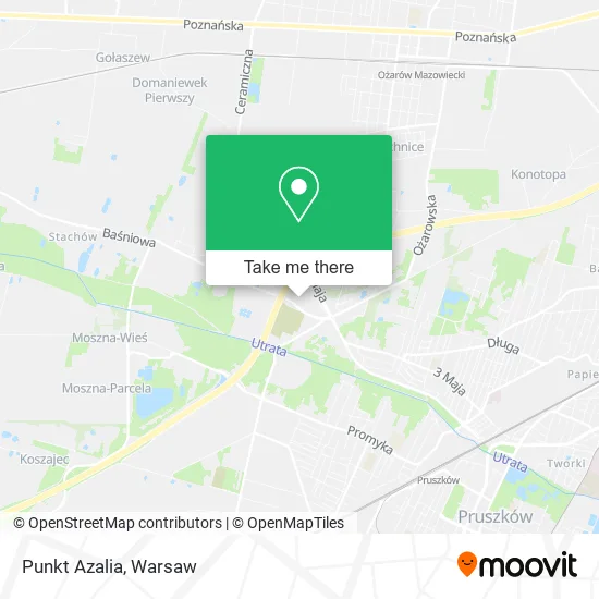 Punkt Azalia map