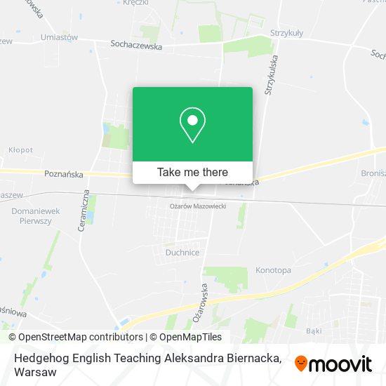 Hedgehog English Teaching Aleksandra Biernacka map