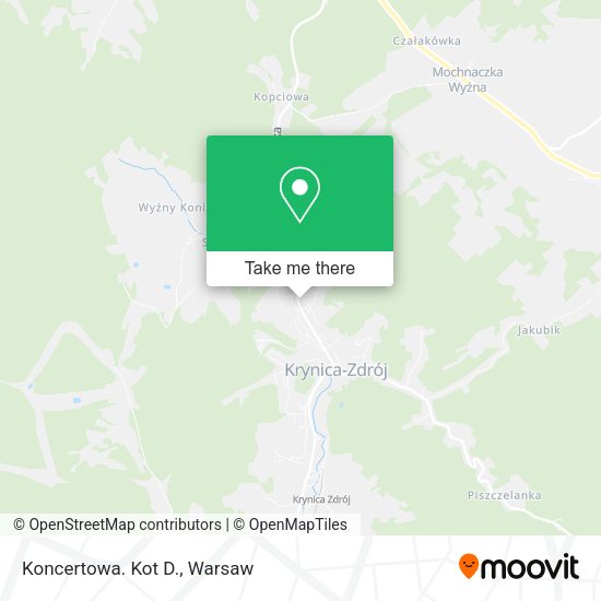 Koncertowa. Kot D. map