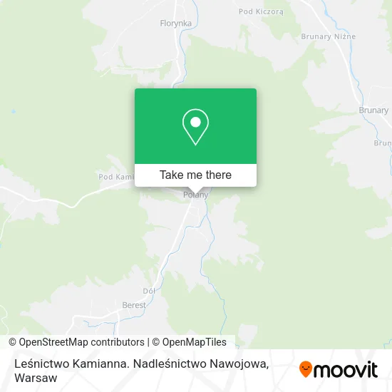Карта Leśnictwo Kamianna. Nadleśnictwo Nawojowa