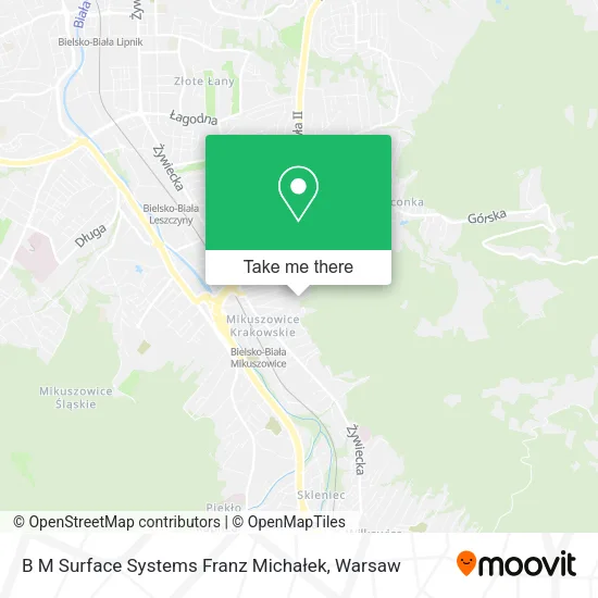 Карта B M Surface Systems Franz Michałek