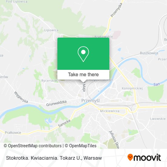 Stokrotka. Kwiaciarnia. Tokarz U. map