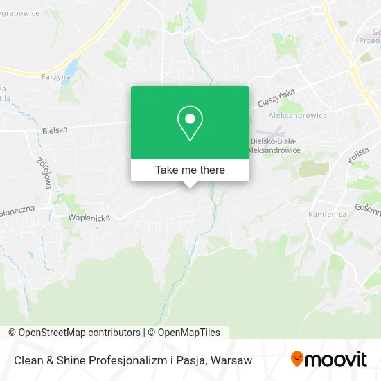 Карта Clean & Shine Profesjonalizm i Pasja