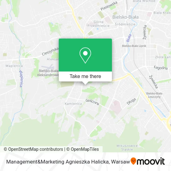 Карта Management&Marketing Agnieszka Halicka
