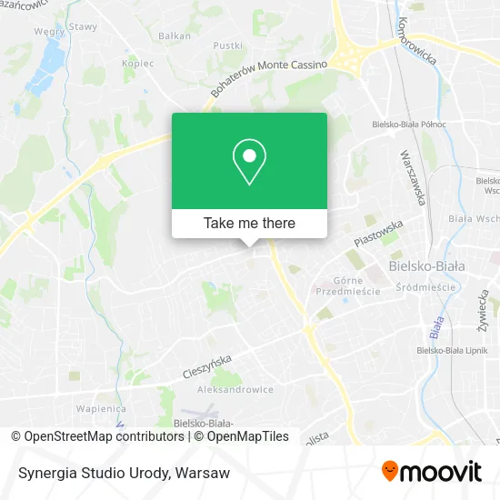 Карта Synergia Studio Urody
