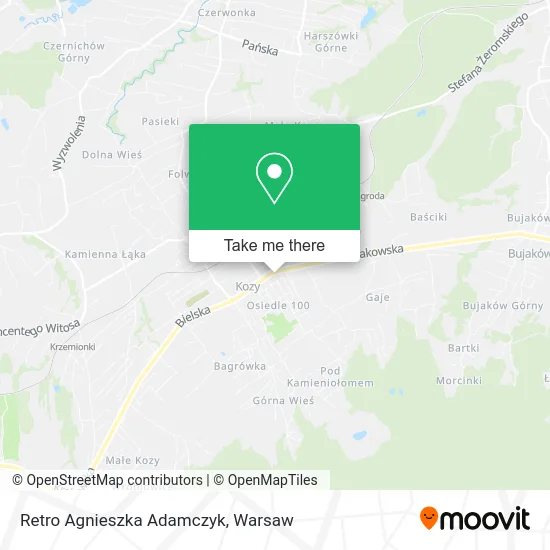 Карта Retro Agnieszka Adamczyk