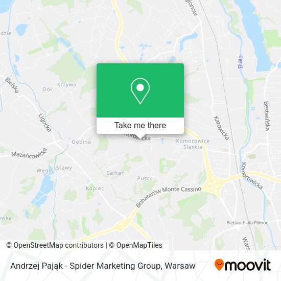 Andrzej Pająk - Spider Marketing Group map