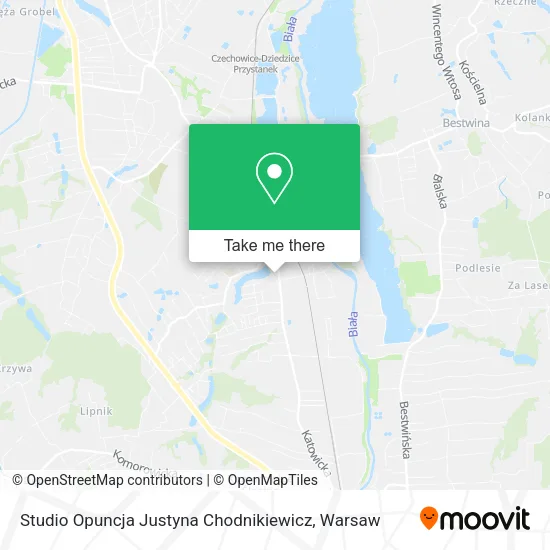 Карта Studio Opuncja Justyna Chodnikiewicz