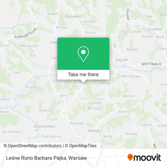Карта Leśne Runo Barbara Pajka