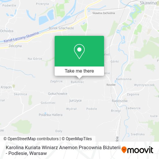 Karolina Kuriata Winiarz Anemon Pracownia Biżuterii - Podlesie map