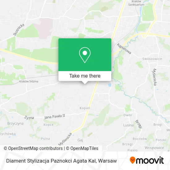 Карта Diament Stylizacja Paznokci Agata Kal