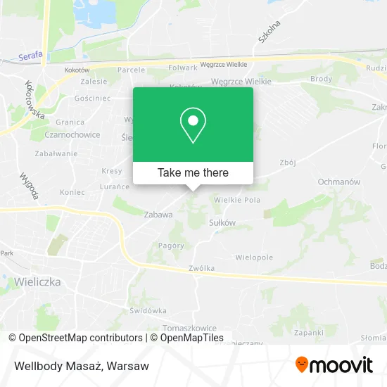 Карта Wellbody Masaż
