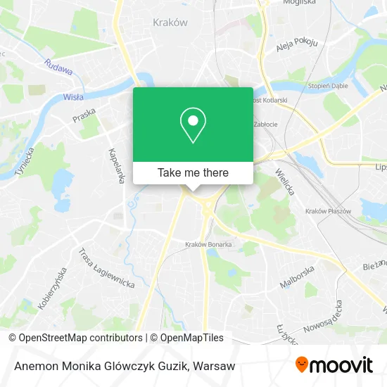 Карта Anemon Monika Glówczyk Guzik