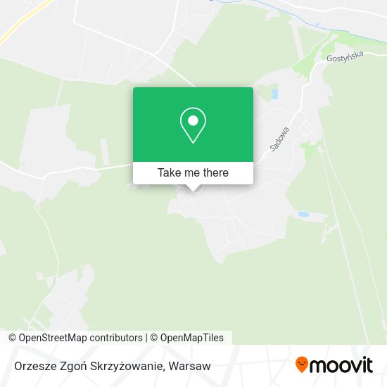 Orzesze Zgoń Skrzyżowanie map