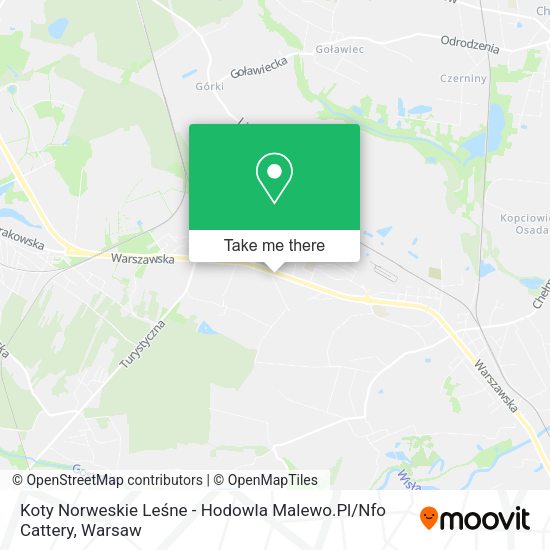 Koty Norweskie Leśne - Hodowla Malewo.Pl / Nfo Cattery map