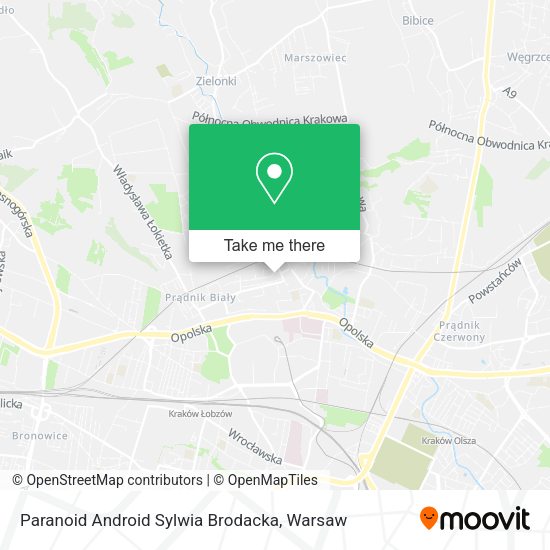 Paranoid Android Sylwia Brodacka map