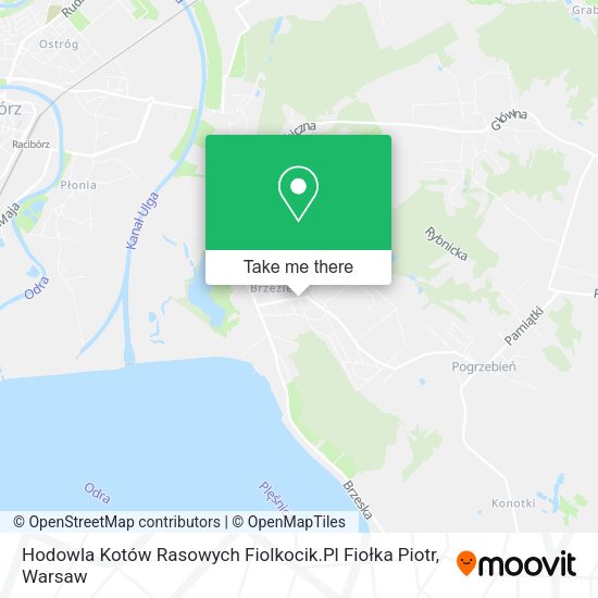 Hodowla Kotów Rasowych Fiolkocik.Pl Fiołka Piotr map