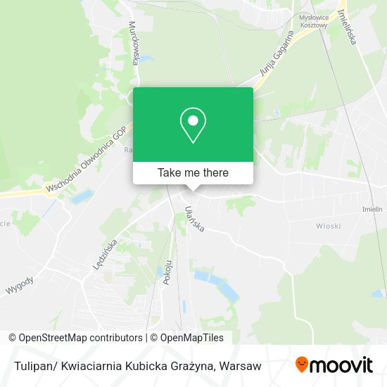 Tulipan/ Kwiaciarnia Kubicka Grażyna map