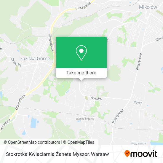 Stokrotka Kwiaciarnia Żaneta Myszor map