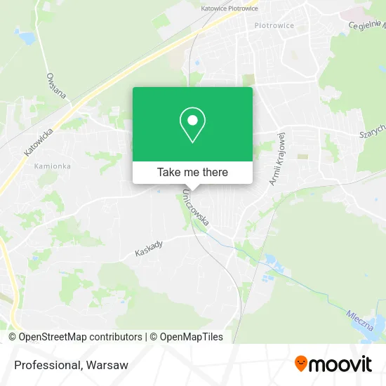 Карта Professional