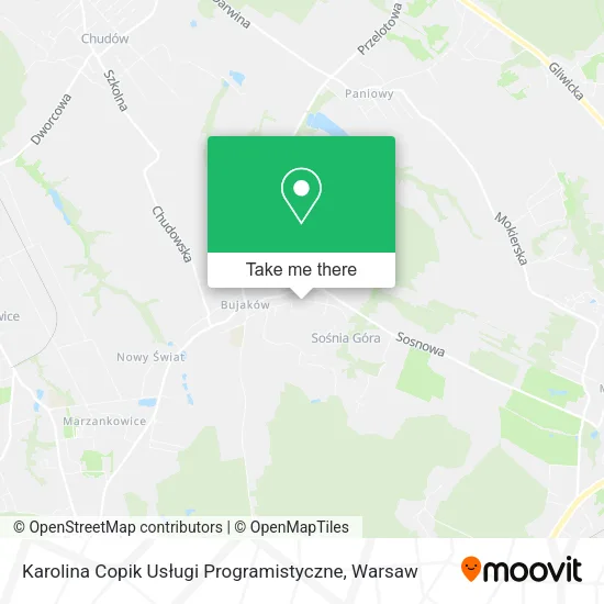 Karolina Copik Usługi Programistyczne map