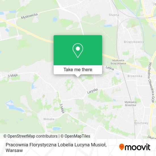 Pracownia Florystyczna Lobelia Lucyna Musioł map