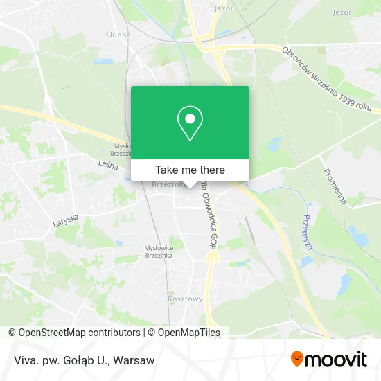 Карта Viva. pw. Gołąb U.